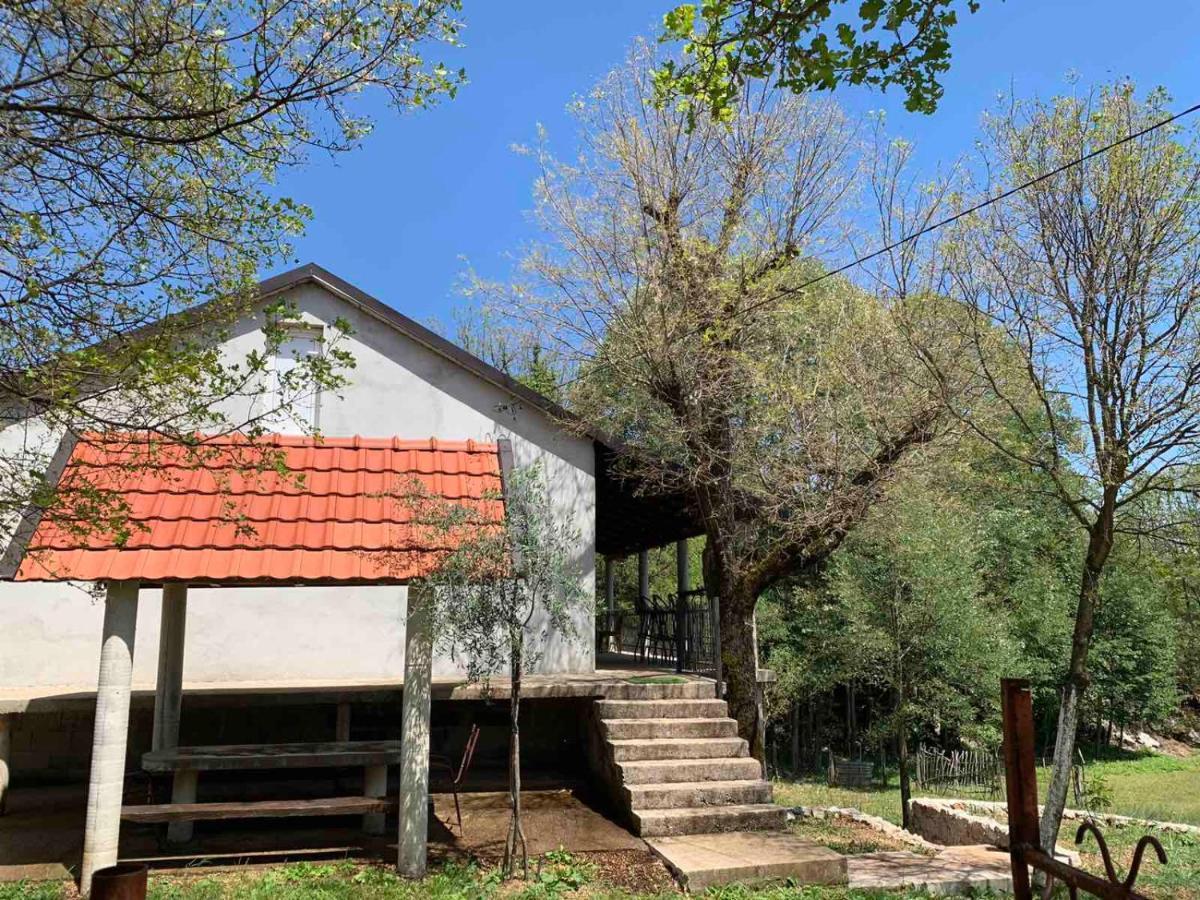 Bandici House Apartment Podgorica Bagian luar foto